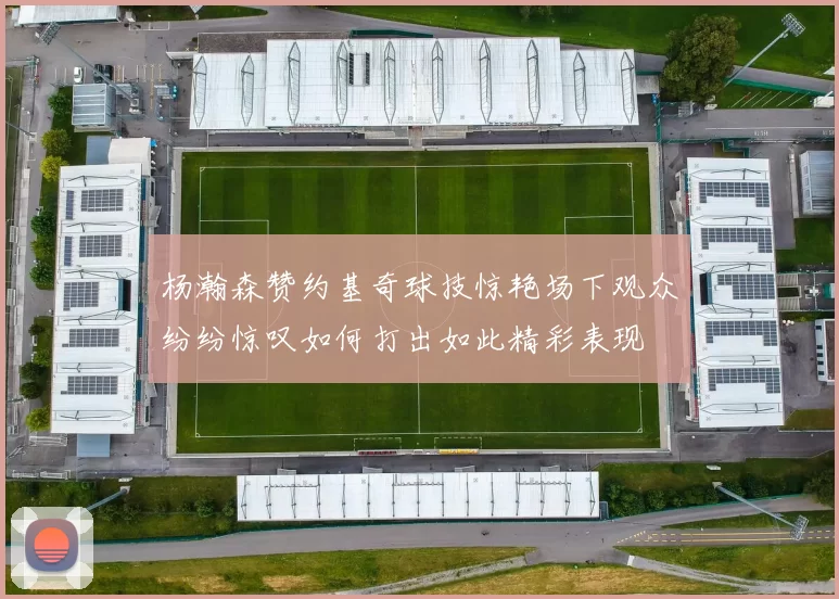 杨瀚森赞约基奇球技惊艳场下观众纷纷惊叹如何打出如此精彩表现